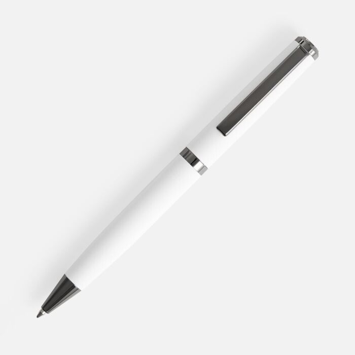 Ручка шариковая Inkish Gunmetal в футляре, белая